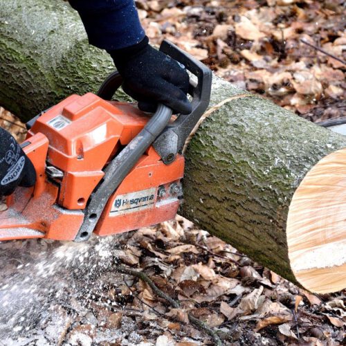 Jak korzystać z narzędzi do obróbki drewna?